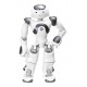 Robot Humanoïde NAO