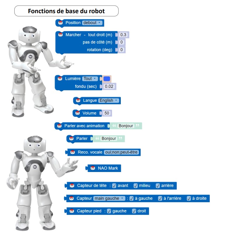 Le robot Nao expliqué aux enfant