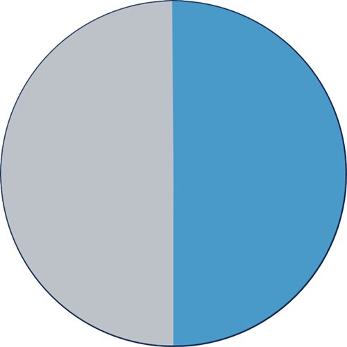 Beluga : Argent - Bleu (Beluga : Silver - Blue)