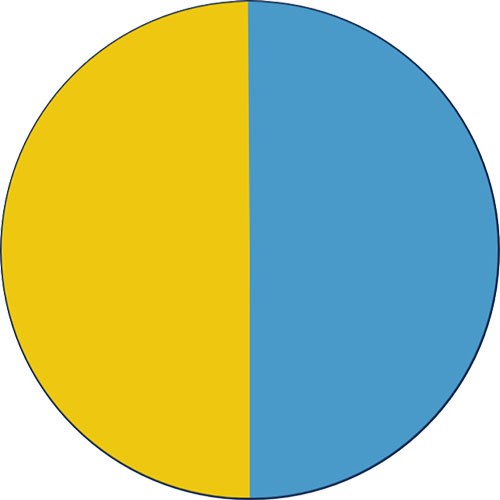 Caméléon : Jaune-Bleu (Chameleon : Yellow - Blue)