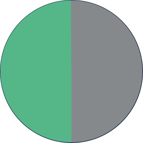 Jadéite : Vert - Chrome (Jadeite : Green - Chrome)